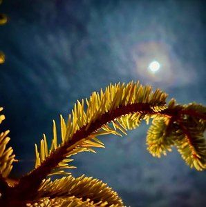 Meet your Posher, Cory